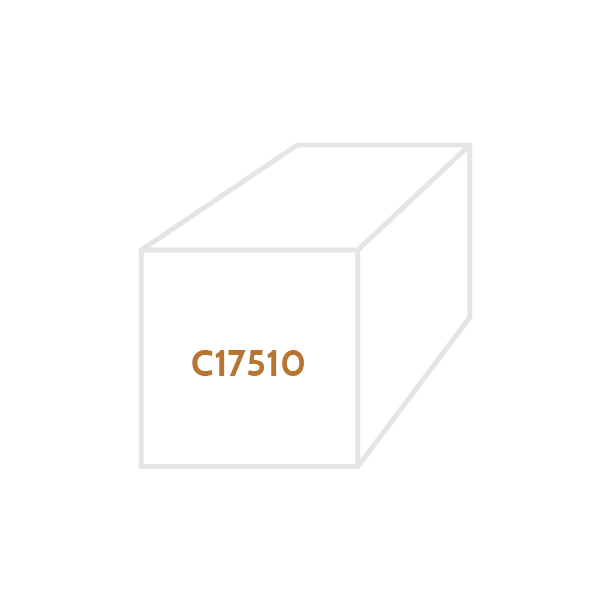 C17510 Beryllium Copper (RWMA CLASS 3)